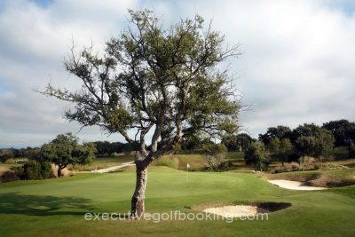 San roque Golf Club Old Course